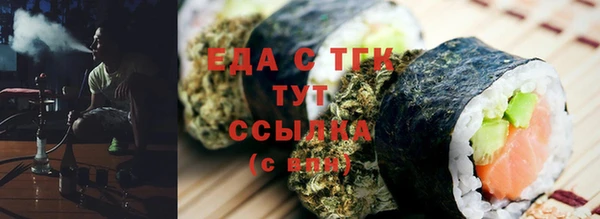 индика Елабуга