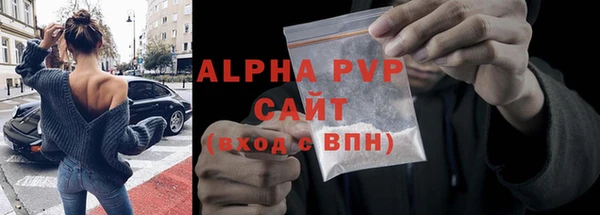 индика Елабуга