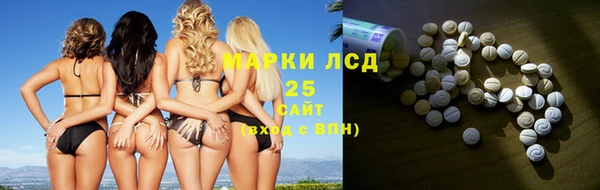 индика Елабуга