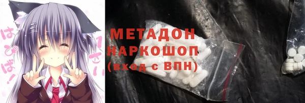 прущие грибы Ельня
