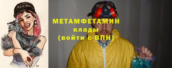 прущие грибы Ельня