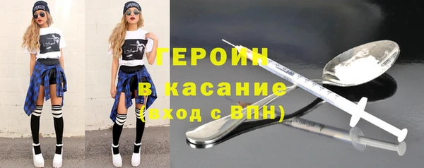 индика Елабуга