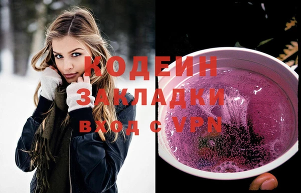 индика Елабуга