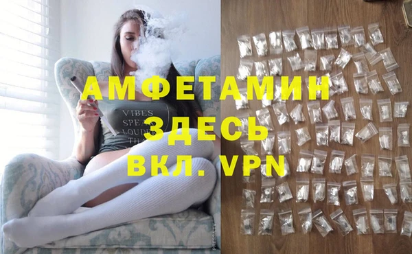 прущие грибы Ельня