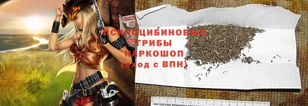 прущие грибы Ельня