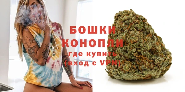 индика Елабуга