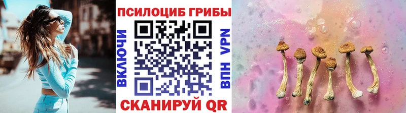 Купить где  Киселёвск  Псилоцибиновые грибы GOLDEN TEACHER 